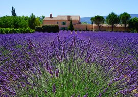 Lilac Cottageb Andb