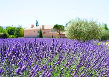Lilac Cottageb Andb